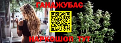 метадон Гай