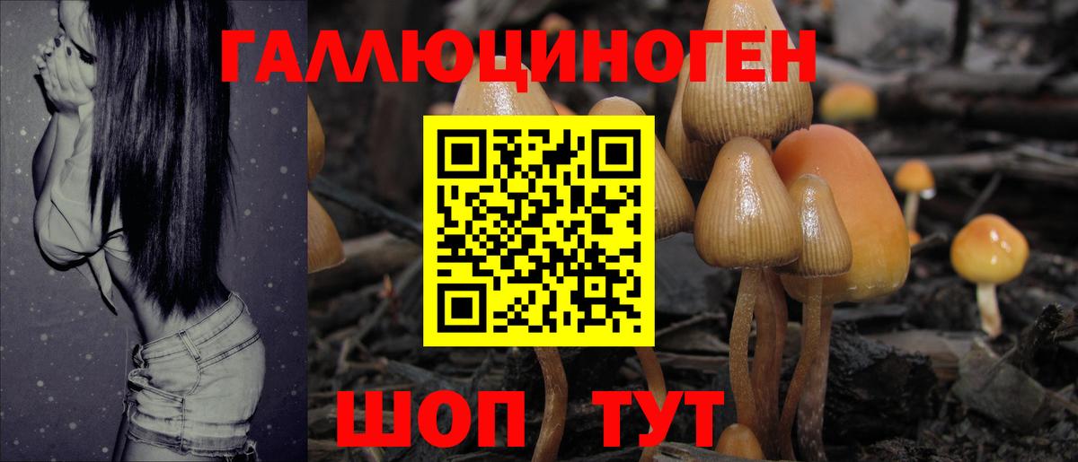 Псилоцибиновые грибы ЛСД  Вход с VPN  Наро-Фоминск 